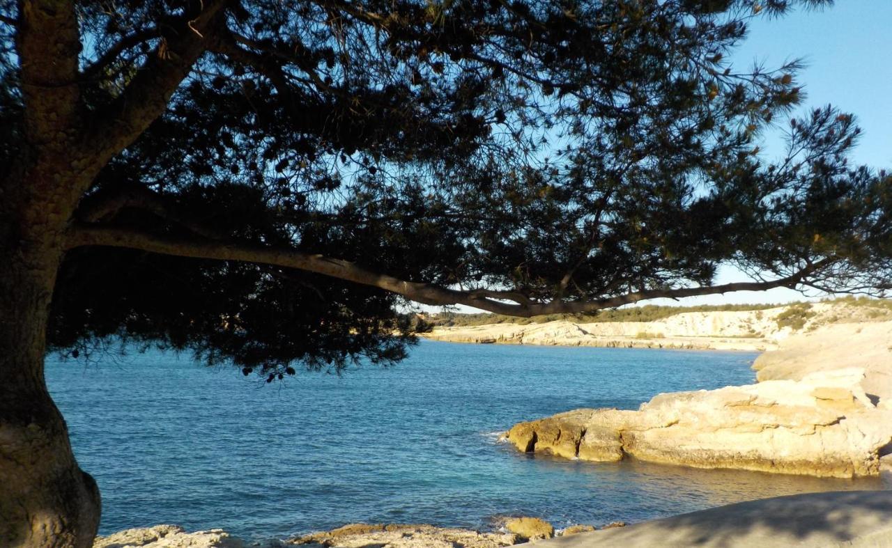 소세레팽 Les Lauriers 빌라 외부 사진